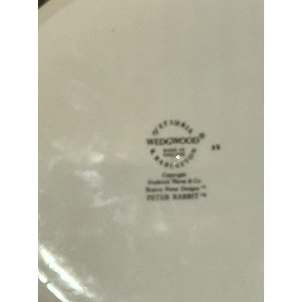 Vintage Set of 2 Wedgwood Beatrix Potter Peter Rabbit Plate & Porridge Bowl READ